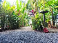 Cabinas Tropicales Hotels in Puerto Jimenez