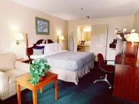 Americas Best Value Inn- Rome
