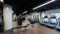 Ibis Styles Melbourne Airport - gimnasio