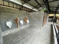 Esquipulas Rainforest Hotels in Copey District