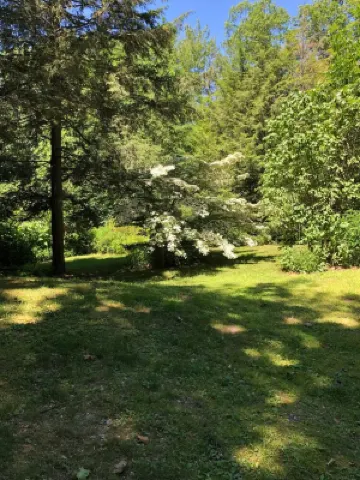 2 Queen and 2 Twin Beds