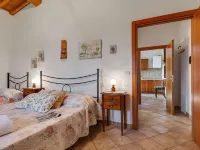 360 Degree View over the Tuscan Hills