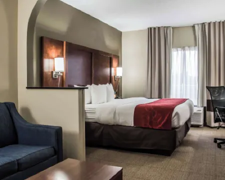 Comfort Suites University - Research Park Hotels in University Place