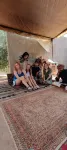 ديزرت روز