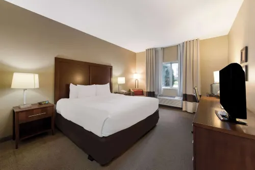 Comfort Inn East - gimnasio