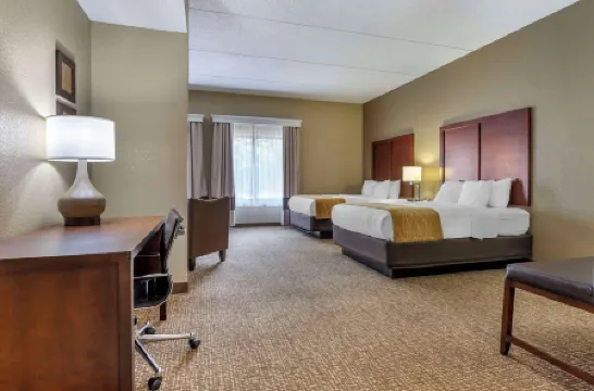 Comfort Inn & Suites Mocksville I-40