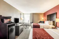 Comfort Inn Convention Center-Chicago O'Hare Airport