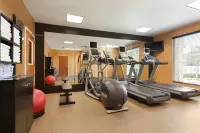 Hilton Garden Inn Houston/The Woodlands Hotels in The Woodlands