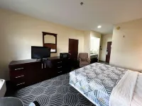 Executive Inn & Suites Breaux Bridge, La - Wifi