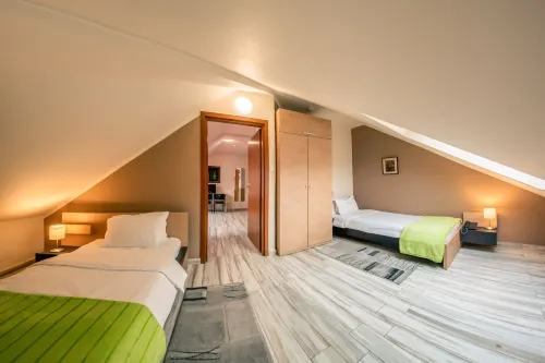 Veliki Garni Hotel Hotels in Čenej