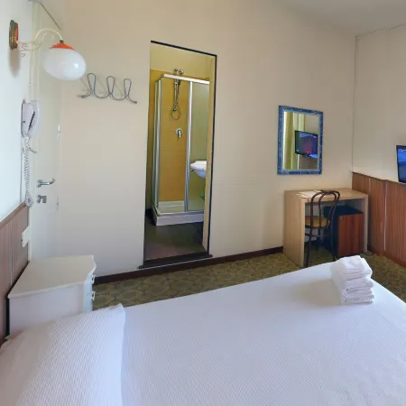 Hotel Metropol