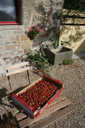 Les Gites d'Hellen Отели в г. Ландевеннек