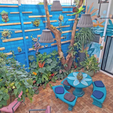 Jungla Urbana, Bnb