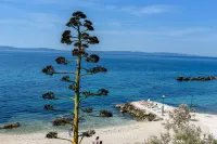 Best Location Apartments