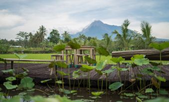 Rumah Jembarati
