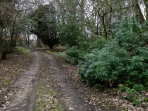 Ranch House Cottage Ranch House Cottage Inverurie Aberdeenshire Hotels in Inverurie