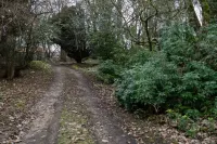 Ranch House Cottage Ranch House Cottage Inverurie Aberdeenshire
