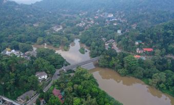Holistic Villas River