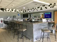 Quality Inn & Suites Belmont Route 151 - bar