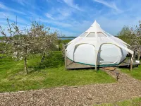 Stargazer Tent 2