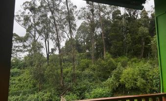 Thalagala Oya Resort