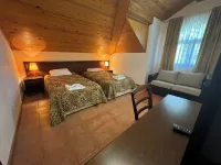 Villa Rila in Borovets