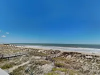 Sea Colony #12A