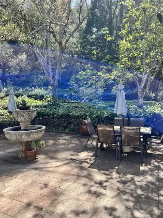 4 bed / 4 ba Home in Downtown Calistoga Отели рядом с достопримечательностью «The Carmel Gallery in Calistoga»