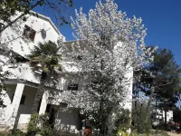 Apartment Mare near the promenade