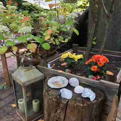 Kits beach garden apartment. PETS+Children Welcome Hotel Exterior
