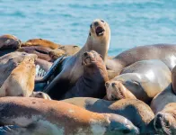 STUDIO Mezquite-LORETO-80, cozy and mexican detailed, in Downtown