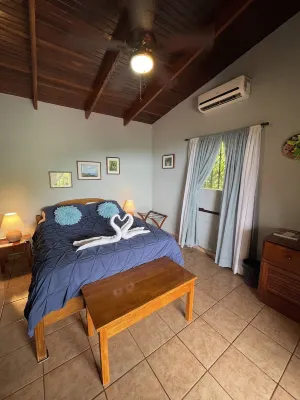 Gorgeous Views of Pacific and Rainforest Hotel a Manuel Antonio