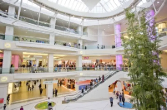 Welcome to Main floor 2 Bedrooms Suite A &10 minute walk from Metrotown Mall