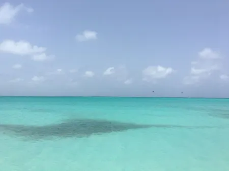 Summer Promotion: August 1 - October 31st/15% Off!  Book Now! Отели рядом с достопримечательностью «Turks and Caicos Map Mural»