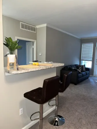 Cozy Calm & Modern Apartment In The Heart of Buckhead, Atlanta