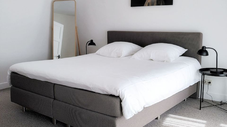 Beautiful first and second floor apartment in historic Leiden