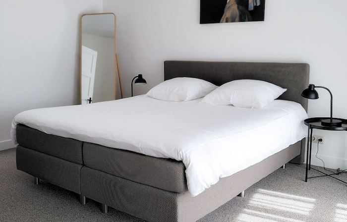 Beautiful first and second floor apartment in historic Leiden