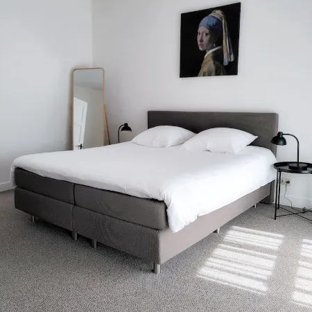 Beautiful first and second floor apartment in historic Leiden