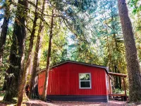 Cozy Family-Friendly Forest Escape Near Mt Hood