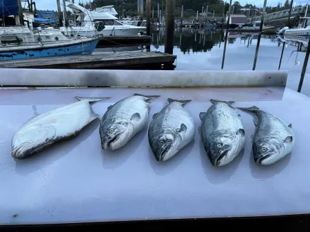 New cottage Steps from the HarborWeekly Rental Includes Covered Boat and Truck Отели в г. Кофман Ков