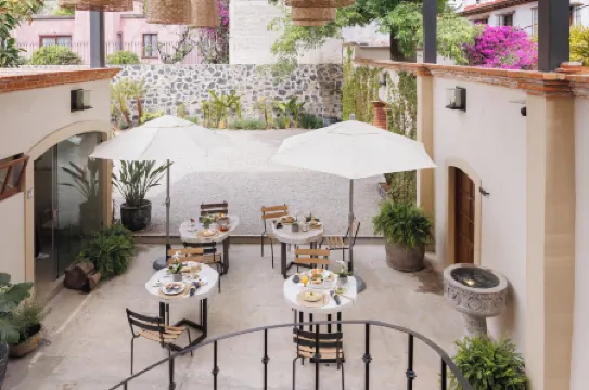 Orchid House Coyoacán