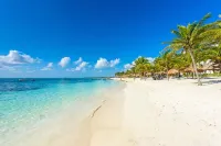 Stay in the Heart of Tulum - Best Location in Town - 워터파크