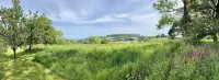 Home Farm Hotel - Pet friendly