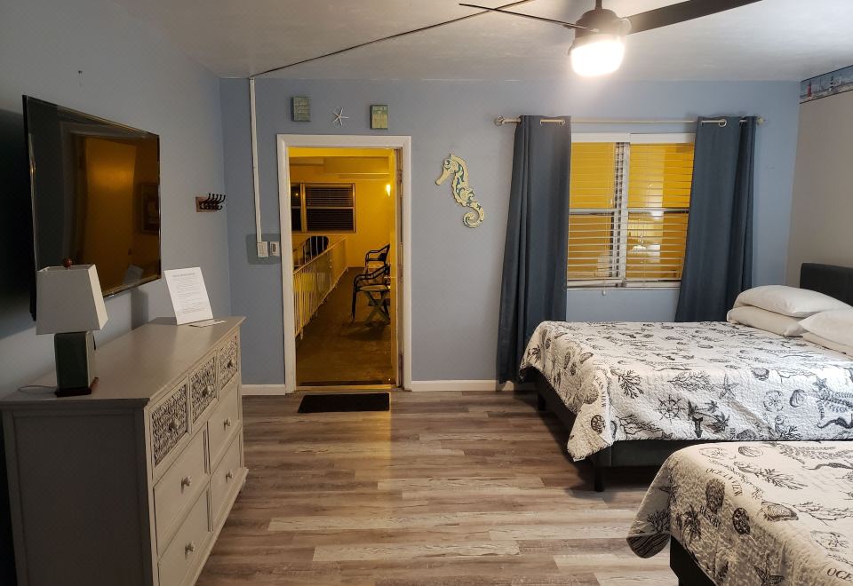 4. 애슐리 브룩 비..