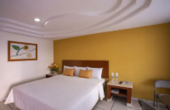 ホテル アルコス アエロプエルト