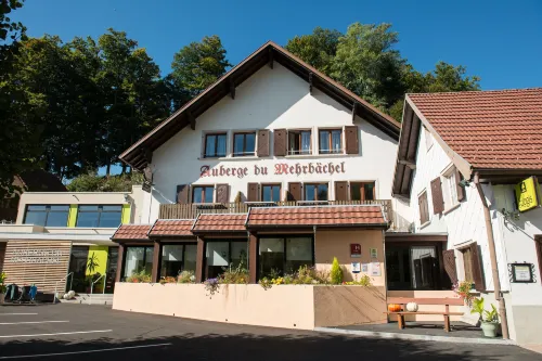 Logis Auberge du Mehrbachel - Hôtel & Restaurant - Mountain view
