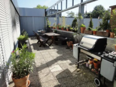 بي آن بي أوف دم فولف - سان ياكوب