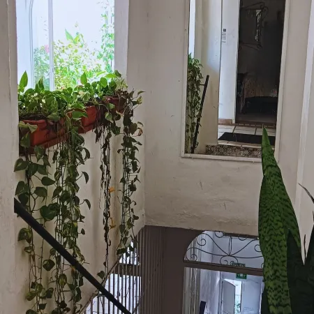 Alexandross Hostel Bnb