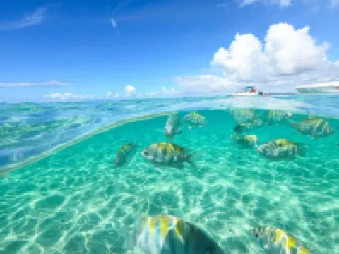 Pousada Dos Cabanos