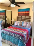 Casa Artista - San Jose del Cabo